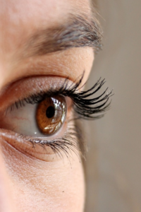 Cornea